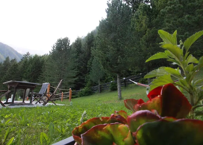 Weixelbraun דירה *